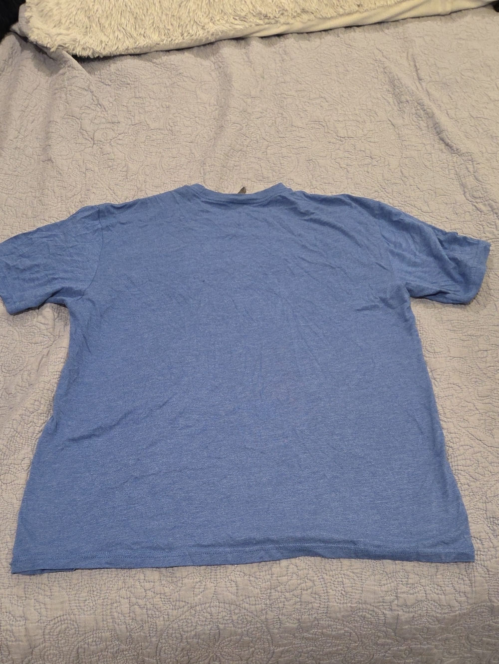 Next Level Apparel Light Blue Graphic Tee with White Dragon Logo - Picture 5 of 7